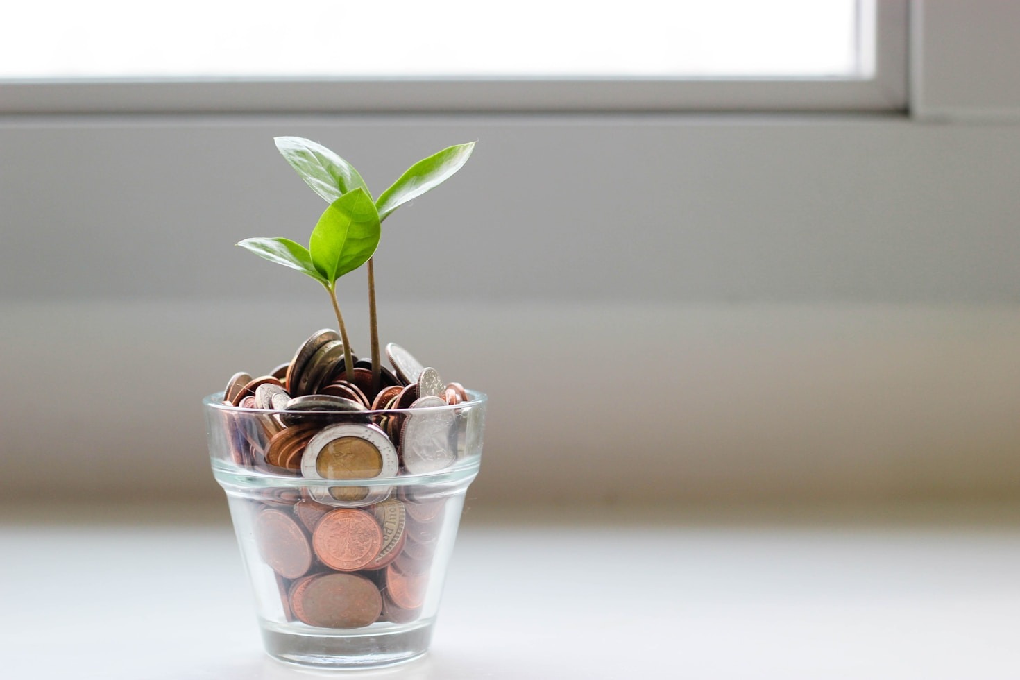 How to Grow Wealth Starting Small