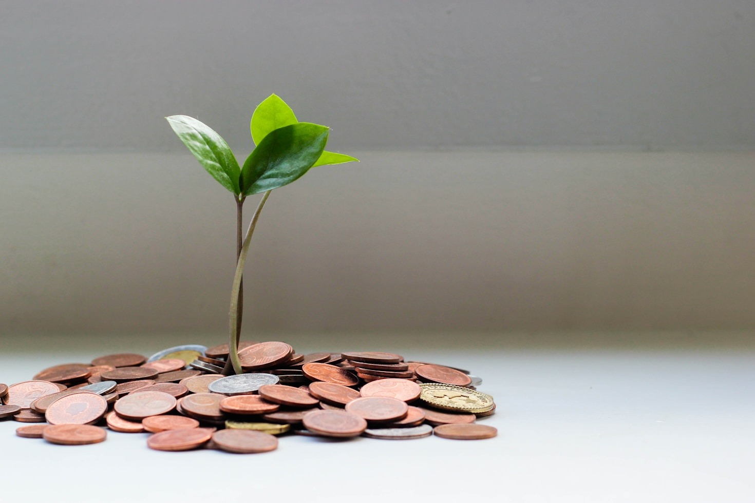 Proven Steps to Increase Your Wealth